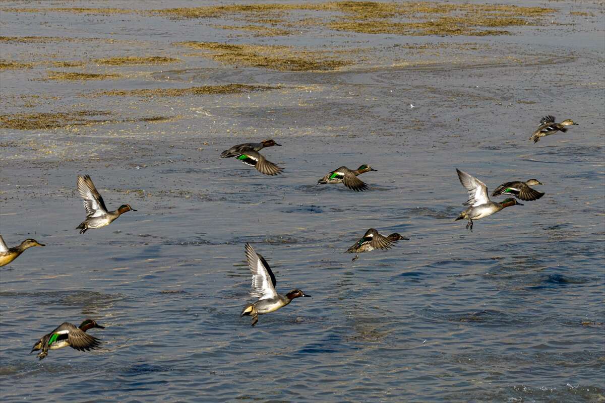 Konya merkezi sulayan kaynakta hareketlilik başladı 11